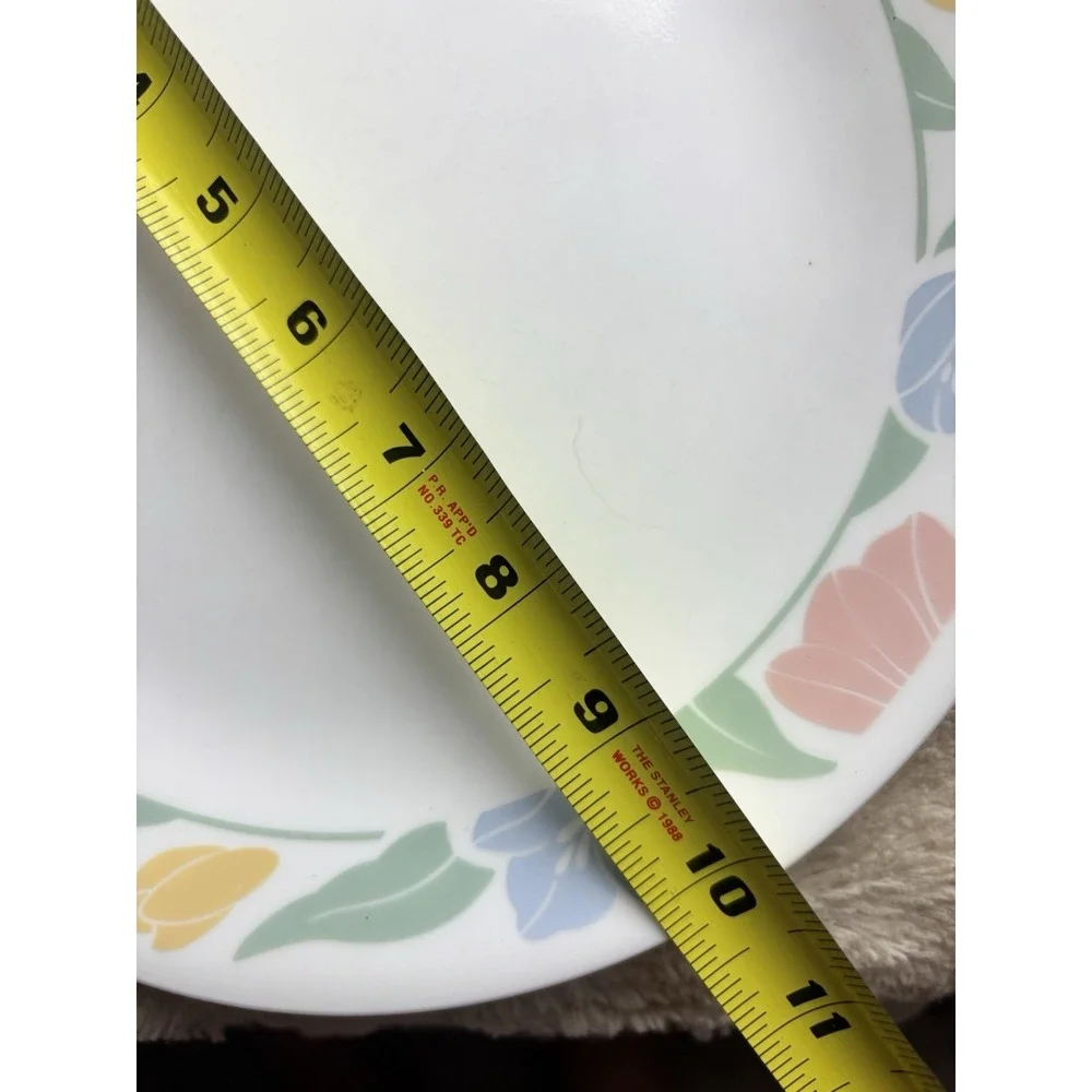 Corelle‎ Friendship Dinner Plates 10.25